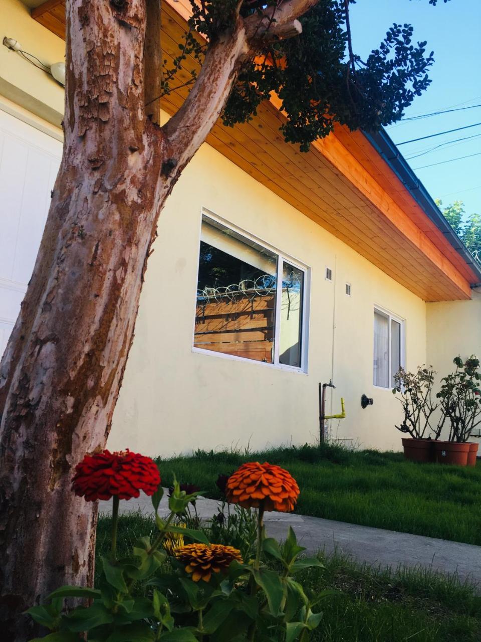 Ruca Varas Apartment
